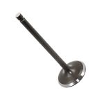 Oc0241va138ll Caltric Intake Valve Fits