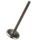 Oc0406va162ll Caltric Exhaust Valve Fits Yamaha Oc0406va162ll Caltric Exhaust Valve Fits Yamaha