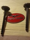 03036100  Oem Moto Guzzi 2