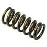 Or5373 Outlaw Racing Intake Valve Spring