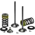 X2vik13000t P0926-2529 Xceldyne Valve Kit Ti Intake Hon