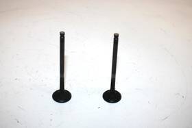 3085412 Polaris 04 Sportsman 500 Oem Exhaust Valve Set Ap44