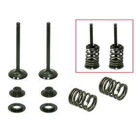 Xu-09164ik Psychic Ss Racing Intake Valve Kit For Kawasaki Kx450f 2006-2008