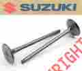 12912-10h00 Rm-z250 Suzuki New Genuine Exhaust Valves Valve 2007-2016 Rmz250 Oem Q195
