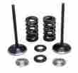 28.ses3338-1 Rmz250 Mfg Pro X Steel Exhaust Valve Spring Kit Suzuki 2007-2014 28.ses3338-1 Rmz250 Mfg Pro X Steel Exhaust Valve Spring Kit Suzuki 2007-2014