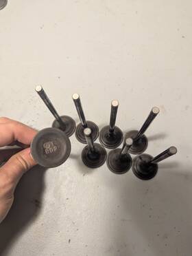 13202aa400 Subaru 02 03 04 05 Wrx Ej205 Engine Exhaust Valves Oem Qty 8