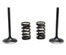 Surplus-28.sis6353-2 Intake Valve And Spring Kit For Ktm Exc