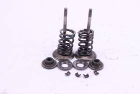 Suzuki 12911-35g20 2006 Rmz450 Oem Intake Valve Set P0067