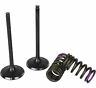 Svk1403-i Svk1403i Wiseco Garage Buddy Steel Valve Kits
