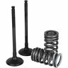 Svk2444-e Svk2444e Wiseco Garage Buddy Exhaust Valve Kit