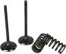Svk4336-i Svk4336i Wiseco Garage Buddy Intake Valve Kit