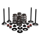 T20-21090 Twin Power Complete Valve Spring Kit 887337299938 T20-21090 Twin Power Complete Valve Spring Kit 887337299938