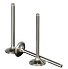 Tr160729 Wiseco Vit031 Premium Titanium