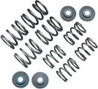 5-1100 Valve Kit Crane Spring Cams