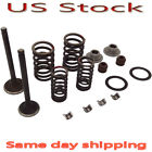 W-001-289 Unbranded Valve Rebuild Kit Intake Exhaust Valves Spring For Honda