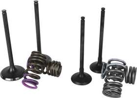 Svkb4341 Wiseco Garage Buddy Replacement Valve Set