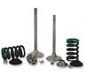 X2sevm33005 Xceldyne Single Exhaust Valve