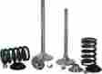 X2sivm32000 Xceldyne X2 Single Intake Valve