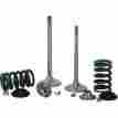 X2sivm43002 Xceldyne X2 Single Intake Valve Center 1mm