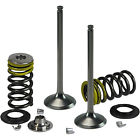 X2tivm12001 Xceldyne Valve Train Kit X2tivm12001 Xceldyne Valve Train Kit