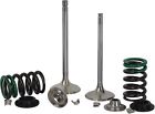 X2vek12002 Xceldyne Valve Kit Exh