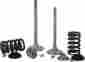 X2vek43001 Xceldyne X2 Exhaust Valve Kit 1mm