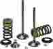 X2vek43004t Xceldyne Valve Kit Ti Exhaust Yam