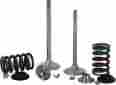X2vik11000 Xceldyne Valve Kit Int Crf 150r