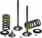 X2vik12001t Xceldyne Valve Kit Ti Intake Hon