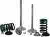 X2vik33001 Xceldyne X2 Intake Valve Kit X2vik33001 Xceldyne X2 Intake Valve Kit