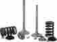 X2vik43000 Xceldyne X2 Intake Valve Kit X2vik43000 Xceldyne X2 Intake Valve Kit