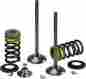 X2vik43000t Xceldyne X2 Titanium Intake Valve Kit X2vik43000t Xceldyne X2 Titanium Intake Valve Kit