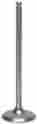 Xevm43004 Xceldyne Exhaust Valve Dished Face Titanium