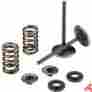 Xf-2-0926-2461 Moose Racing Intake Valve Kit