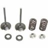 Xf-2-0926-2444 Xf209262444 Moose Racing Exhaust Valve Kit