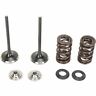 Xf-2-0926-2449 Xf209262449 Moose Racing Valve Kit In Mse