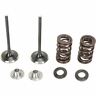Xf-2-0926-2454 Xf209262454 Moose Racing Exhaust Valve Kit
