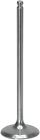 Xivm11000 Xceldyne Intake Valve