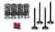700-100016 Xr400r 30-3111 30-3115 30-3117 Kibblewhite Intake Exhaust Valves Valve Springs Kit Honda Trx400x 744430318181