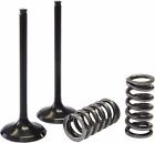 Xu-09509is Xu-09509i Psychic Intake Valve