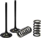 Mx-09528is Xu-09528i Psychic Intake Valve Spring Kit Kawasaki Kx