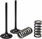 Xu-09529is Xu-09530i Psychic Intake Valve