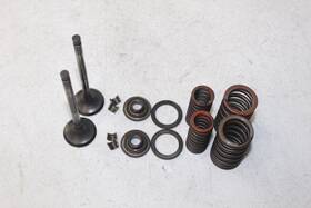 30x-12121-00-00 Yamaha 1985 - 2000 Xt350 Exhaust Valves With Springs Seats Retainers Xt 350