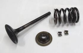 Yamaha 4vr-12111-01-00 1998-2016 V Star Xvs 650 Engine Intake Valve Spring Oem