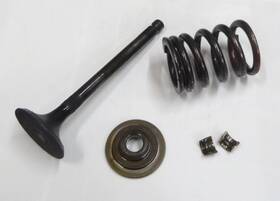 Yamaha 4vr-12121-01-00 1998-2016 V Star Xvs 650 Engine Exhaust Valve Spring Oem