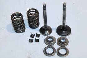 5hp-12111-01-00 Yamaha 2000-2023 Ttr125 Ttr 125e Oem Intake And Exhaust Valves