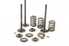 5km-12111-00-00 Yamaha 2001 Raptor 660r Yfm660r Intake Valves With Springs G3945