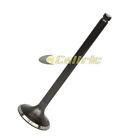 Ym1229va126gr Caltric Exhaust Valve Fits