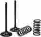 Xu-09519is Yz250f Xu-09519i Xu-09522i Psychic Intake Valve Spring Kit Wr250f Yz250 Wr250 Yz Wr 250f 250 F