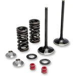 Moose Offroad 0926-2462 M80-81060 Stainless Exhaust Valve And Spring Kit. Fixed Price $196.95.
